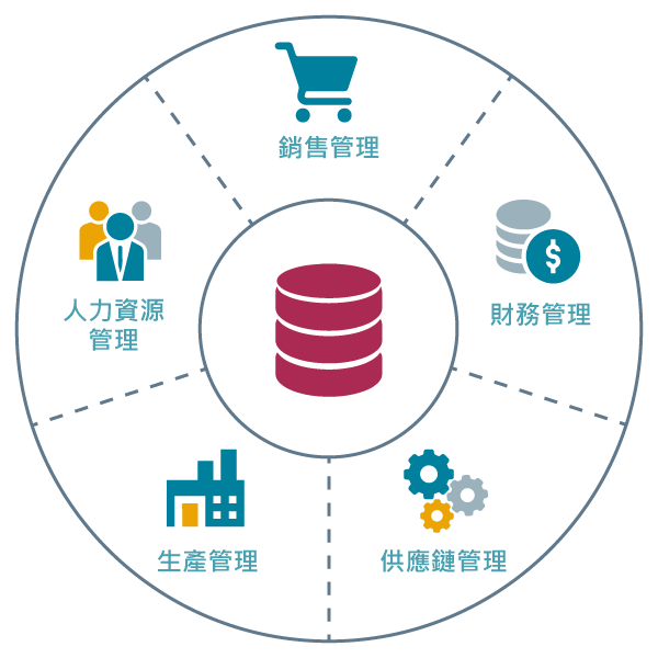 企業軟體系統